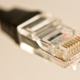 Illustration for article titled A New Botnet Hits Servers With 150 Gbps DDoS Attacks